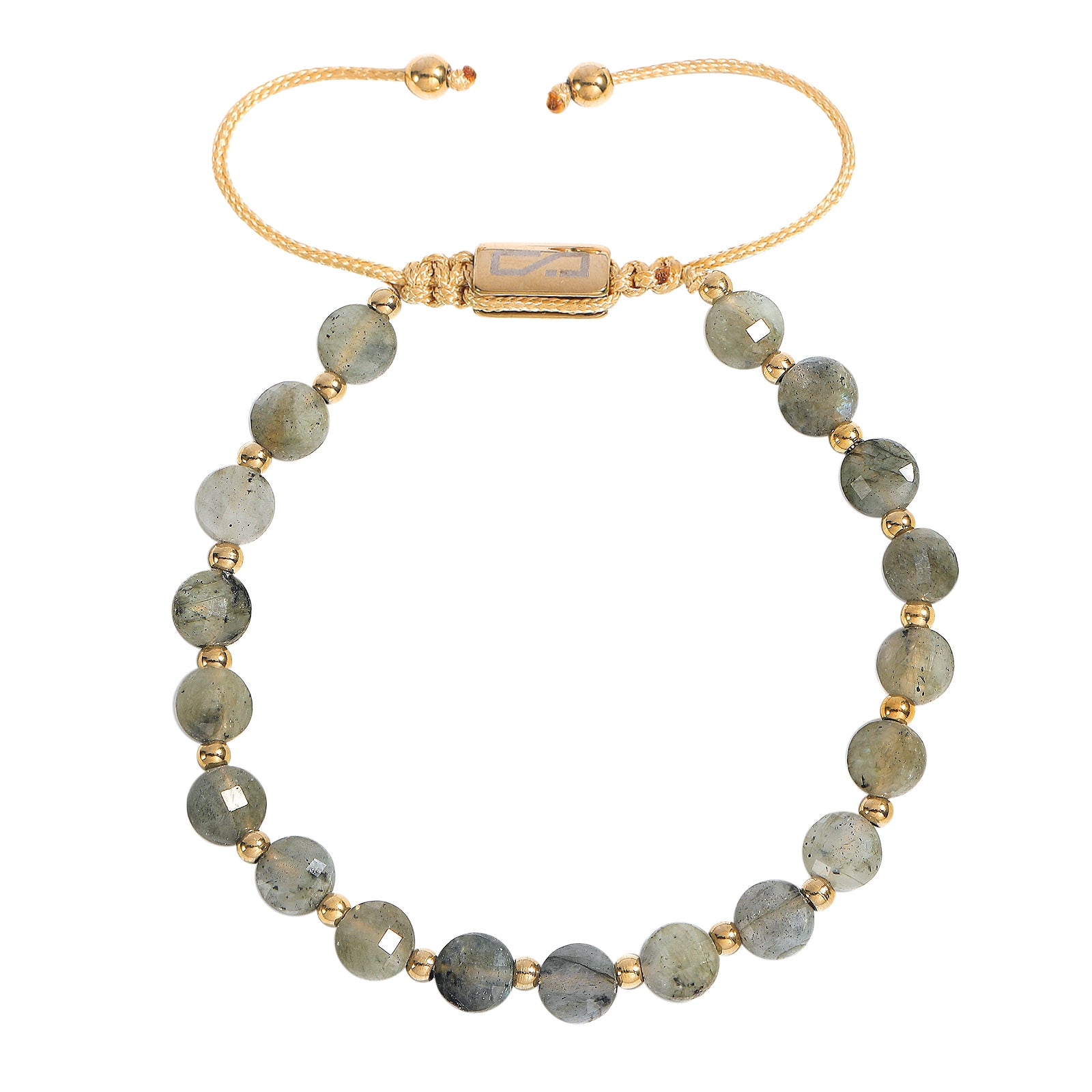 6e610c6a-0cec-4011-bd5f-4c011f89348f