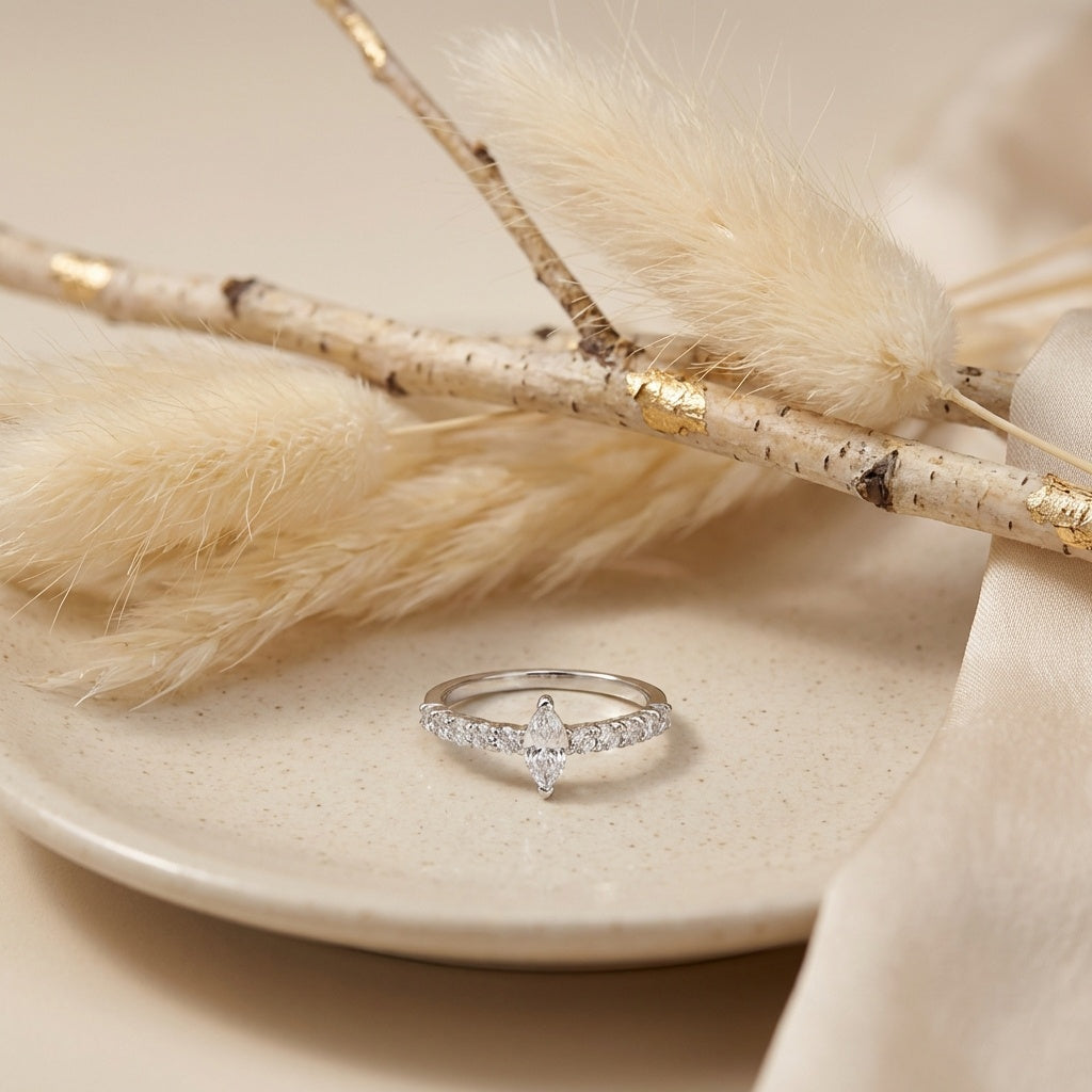 2f674019-645d-4559-8125-69e7566eb072